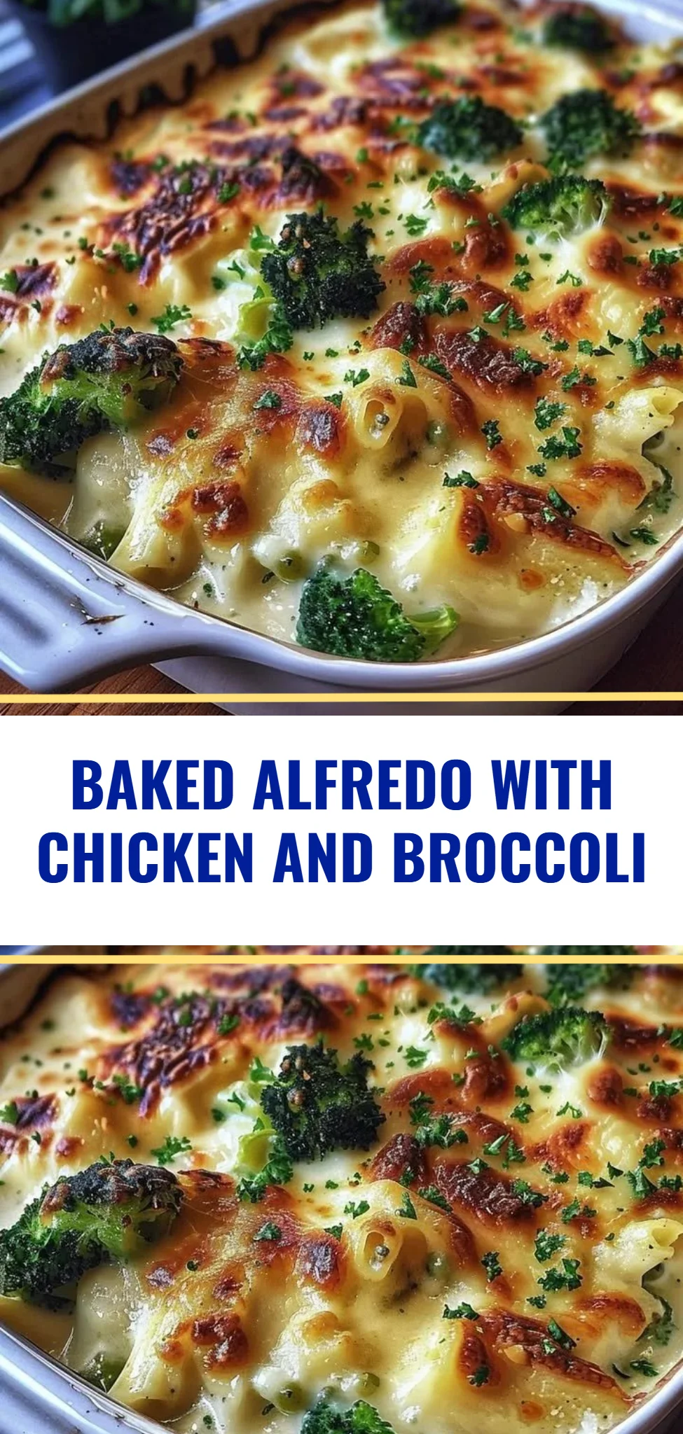 Baked Alfredo with Chicken and Broccoli