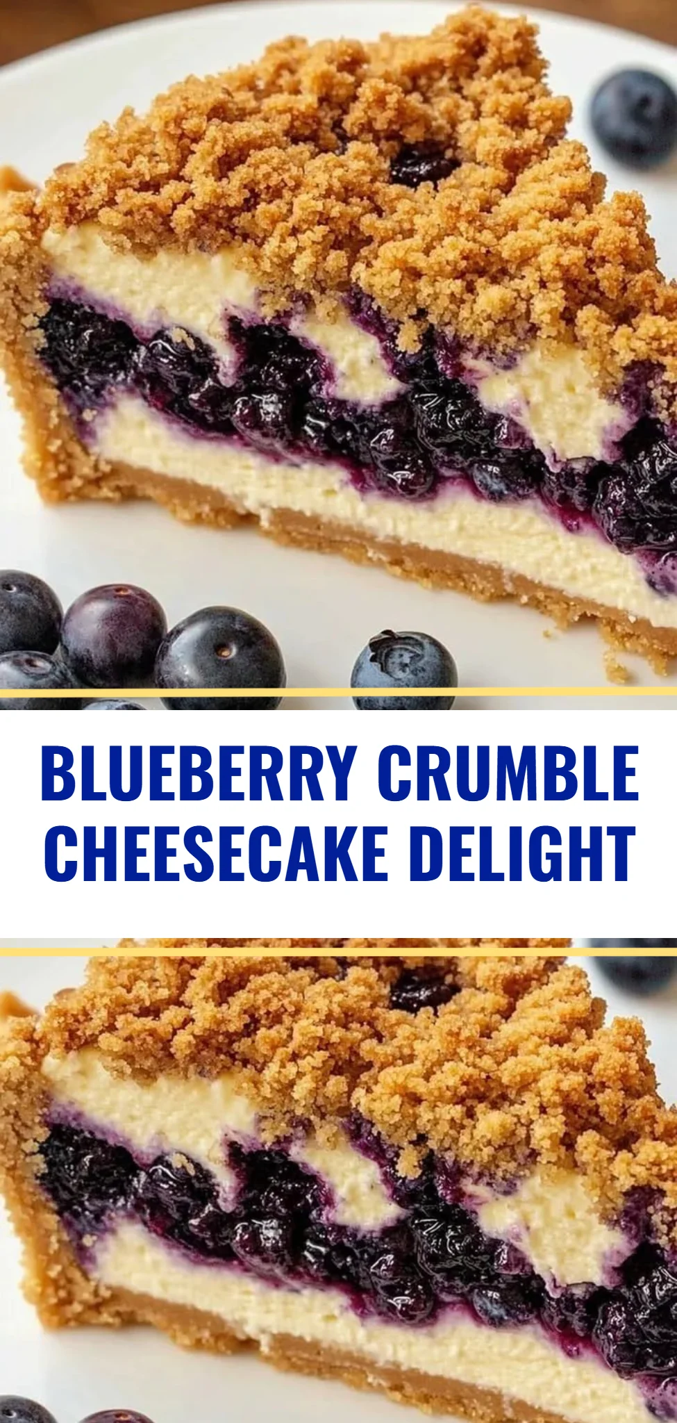 Blueberry Crumble Cheesecake Delight