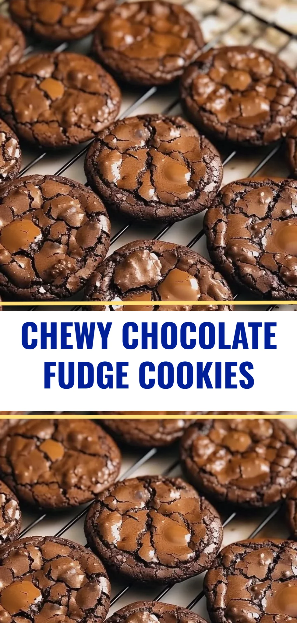 Chewy Chocolate Fudge Cookies