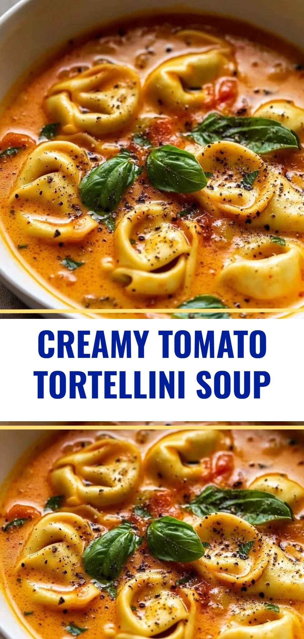 Creamy Tomato Tortellini Soup