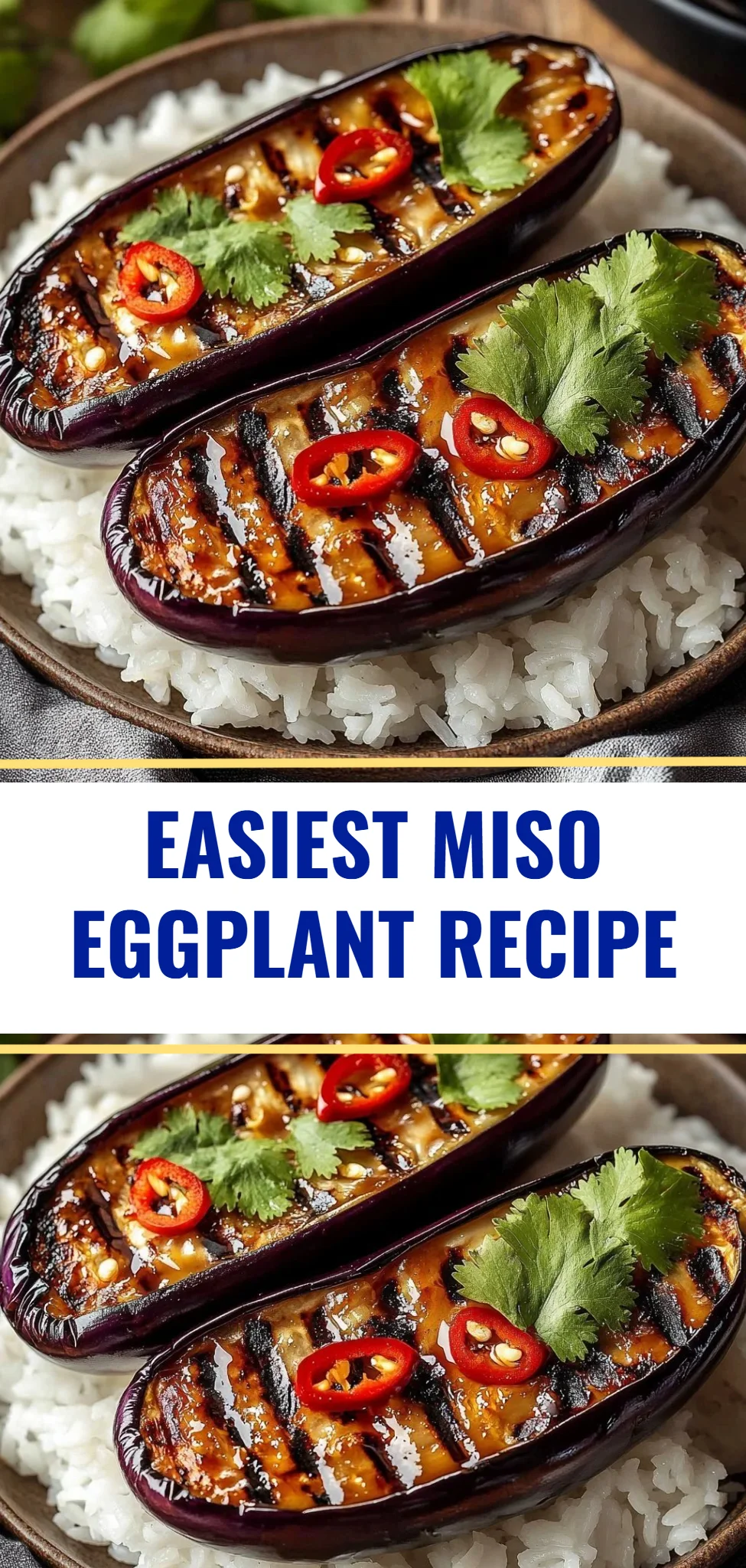 Easiest Miso Eggplant Recipe