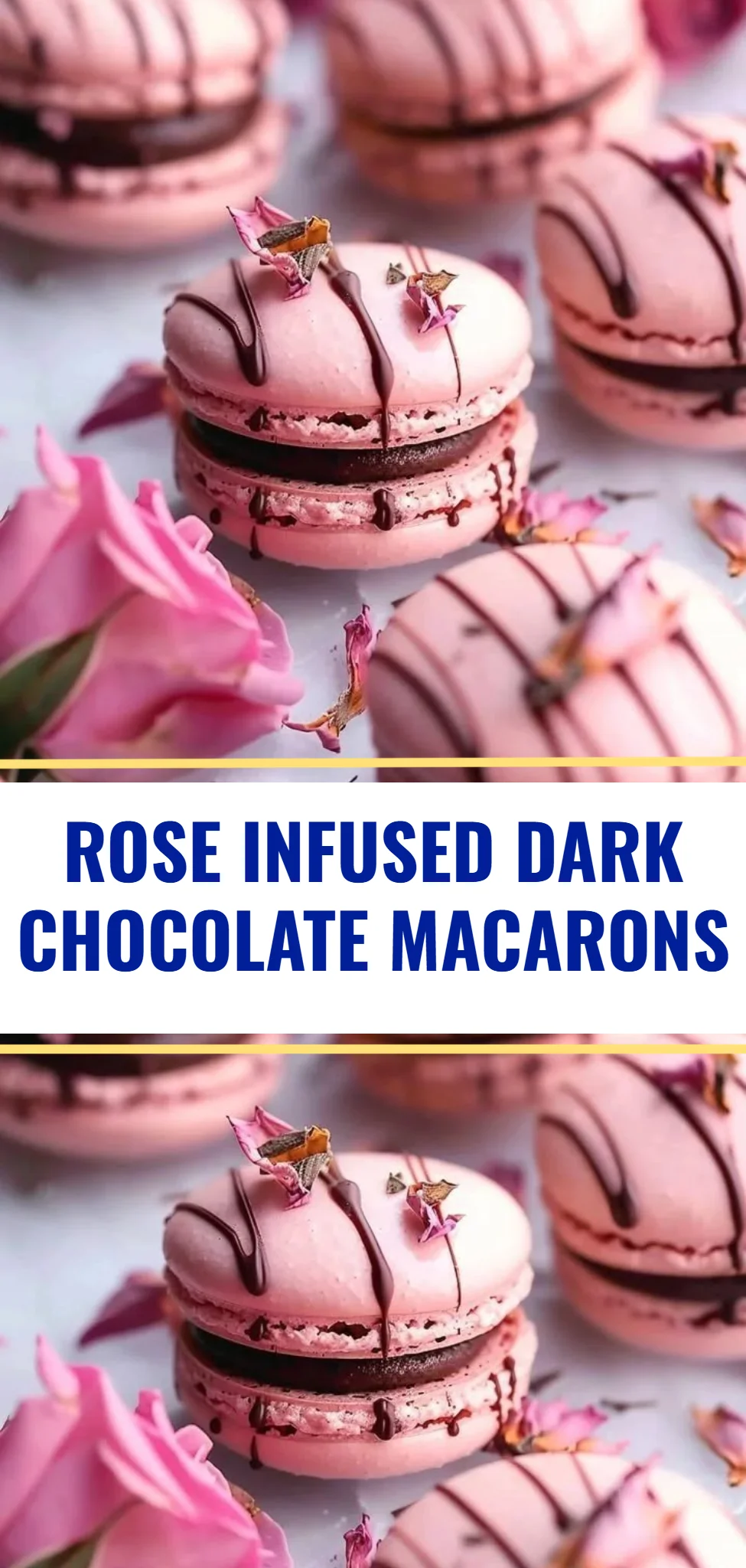 Rose Infused Dark Chocolate Macarons